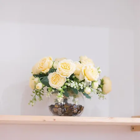 Renting - 5 Massena - Elegant Air-conditioned Cocoon Quiet Patio Massena Apartment Nizza